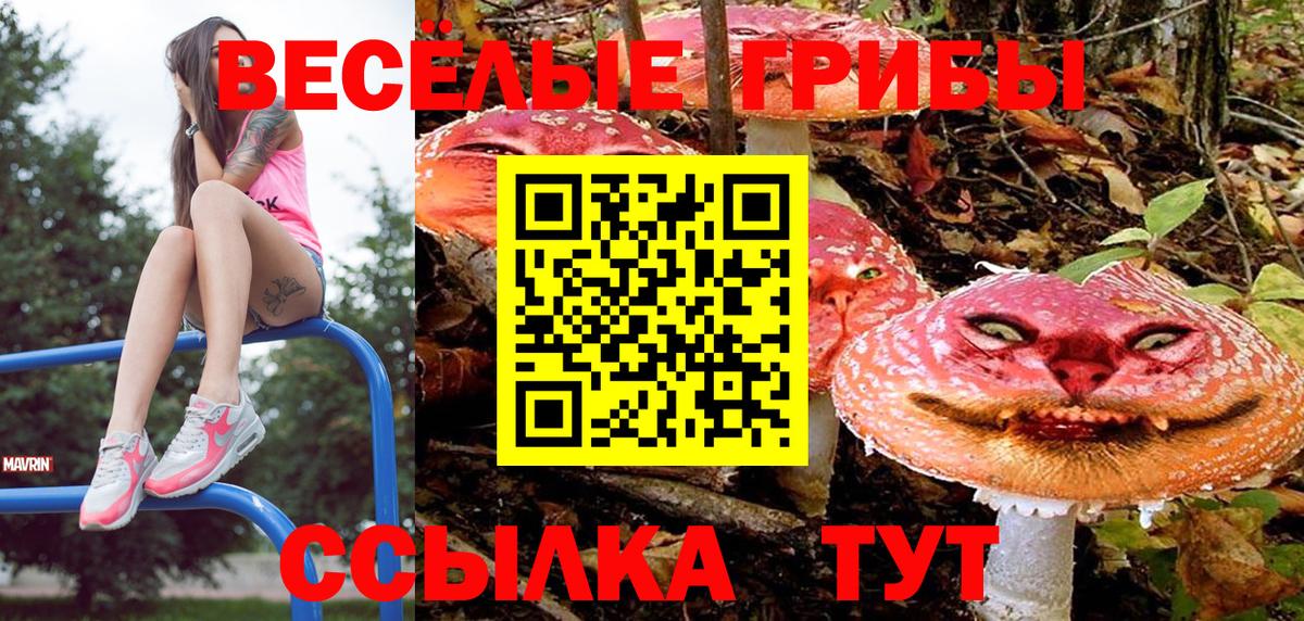 Североморск  Псилоцибиновые грибы Magic Shrooms  Вход с VPN  Псилоцибиновые грибы GOLDEN TEACHER 