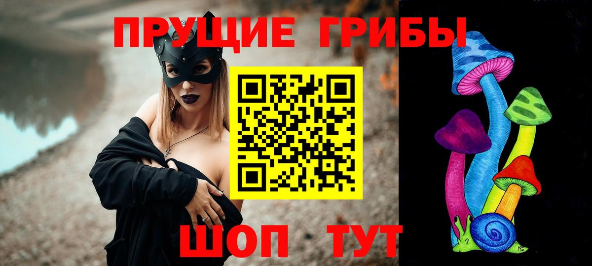 Галлюциногенные грибы Psilocybine cubensis Североморск